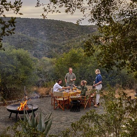 Kwandwe Private Game Reserve - Melton Manor Grahamstown Zewnętrze zdjęcie
